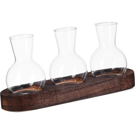 Vase Transparent pour Hydroponie Pot Verre pour Plantes de Bureau Jardinière de Table avec Base (1/5)