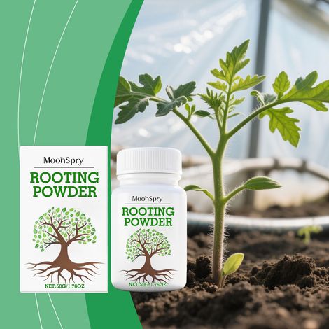 Poudre d'enracinement pour l'entretien des racines des plantes et des fleurs, nutrition et croissance des plantes vertes horticoles - 50 g (1/5)