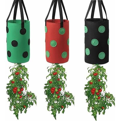 Filiyano-Sacs de culture pour fraises et tomates (1/5)