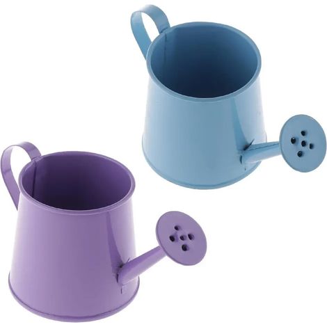 Lot de 2 arrosoirs long col en fer mini baril fleurs (1/5)