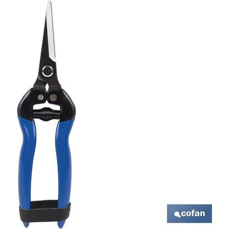 COFAN tijera recoleccion punta recta 185 mm , Tijeras de recolección 185 mm de punta curva. Su hoja es de acero, el mango esta bañado en PVC antideslizante y está equipada con un s