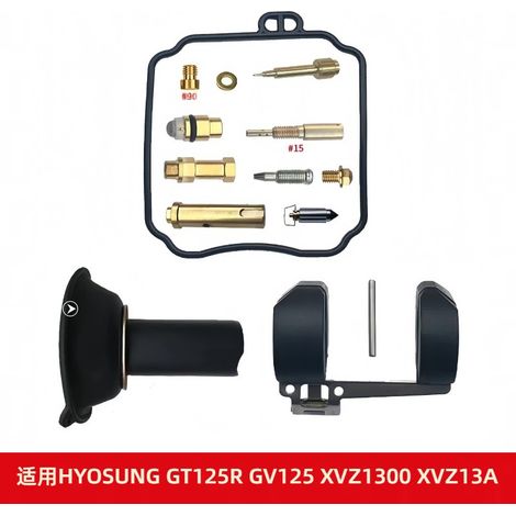 Vergaser-Reparatursatz passend für HYOSUNG GT125R, GV125, XVZ1300, XVZ13A 1996-200