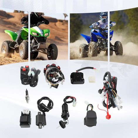 Faisceau de câbles électrique complet pour ATV Quad 150-250 300 CC - Redresseur CDI - Kit de faisceau de câbles - Relais magnétique - Montage de faisceau de câbles (1/5)