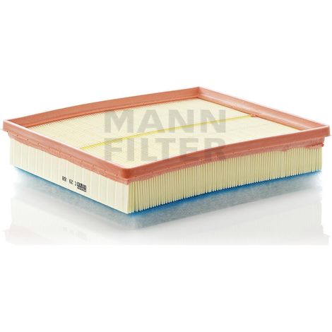 Luftfilterelement MANN-FILTER C29168 (1/2)