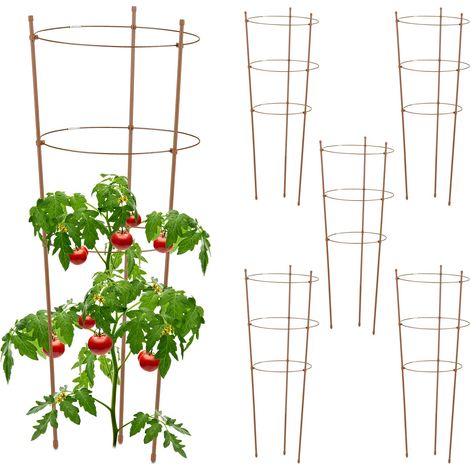 Relaxdays Set da 6 Sostegni Circolari per Pomodori, Piante Rampicanti, Cetrioli, Alti 76 cm, 3 Anelli, Metallo, Marrone