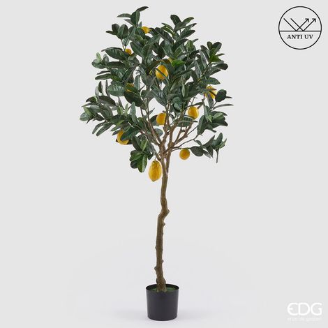 EDG Enzo De Gasperi Limone Anti-UV x13 con Vaso Pianta Artificiale H 184 Cm Verde Giallo