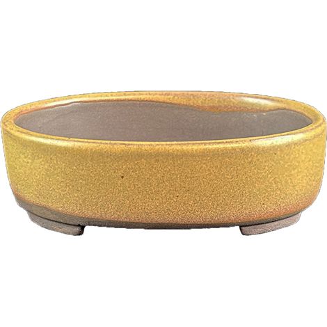Vaso per bonsai Giapponese Morrisan ovale in gres smaltato giallo senape 8x9,5x2 cm - B02-8-9H