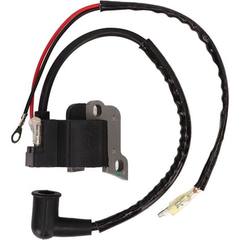 Module d'allumage CDI adapté aux moteurs quatre temps de 49 cm3 et aux vélos électriques. (1/5)