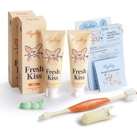 Dentifrice Enzymatique pour Chien et Chat, Soin Dentaire, 2x85g (1/5)