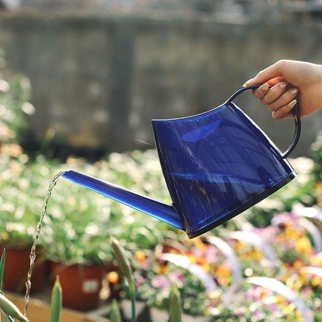 Modische, offene Garten-Blumenspritze mit langem Ausguss, bonbonfarbene Gießkanne 1,2 l (Blau) (1/5)