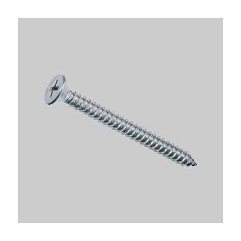 VITE AUTOFILETTANTE INOX TSP 4,2x25 mm Q.TA 1000