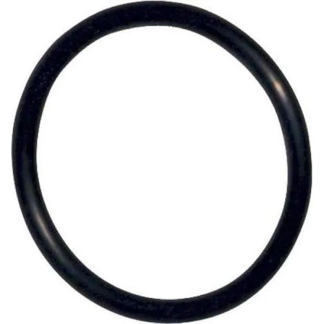 Siamp – Joint torique pour soupape – Diamètre 55mm – Hauteur 4mm – Pour WC – Pièce détachée de qualité
