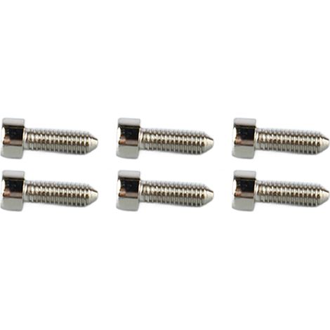 6 Vis de Fixation pour Guitare à Tête Hexagonale, Chevalet Double Vibrato, Vis de Verrouillage de Cordes avec Pointe Conique, Argenté (1/5)