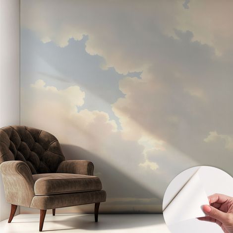 Fotomurale adesivo stickers - per camera da letto - per corridoio - decorazione casa moderna Cielo pastello 250x250 cm (1/5)