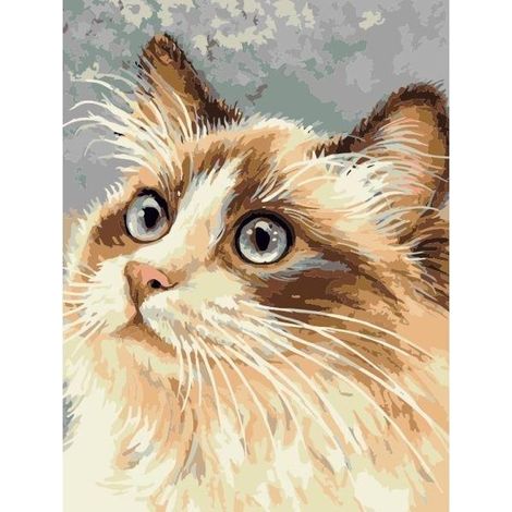 Malen nach Zahlen – 30 x 40 cm Katze