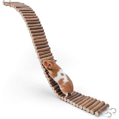 Hamster Hanging Bridge Toy - Long Climbing Ladder for Syrian Dwarf Hamster, Mice, Gerbils and Other Small Animals (65 x 7 cm) (1/3)