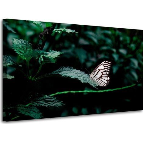 Lienzo impreso Naturaleza Mariposa sobre una hoja 100x60