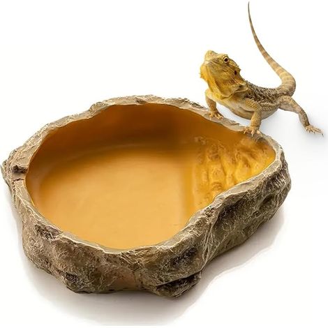 Bol Gamelle pour Terrarium, Accessoire pour Tortue, Bol d'Eau pour Reptiles, Gamelle pour Nourriture, Bol à Boire pour Terrarium, Abreuvoir, Gamelle, Accessoire pour Serpent, Tortue, Gecko (1/5)