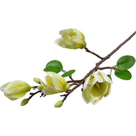 Branche d'orchidée magnolia plus vraie que nature pour les mariages et les occasions spécialesvert (1/5)