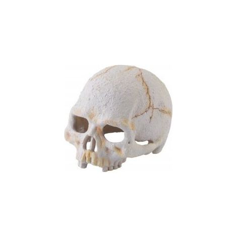 Exo Terra Dino Primate Mini