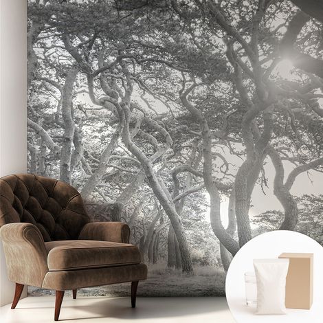 Papier peint intissé avec imprimé pour décoration intérieure pour rénovation a motif - Colle incluse gratuite Forêt atmosphérique 250x250 cm (1/5)