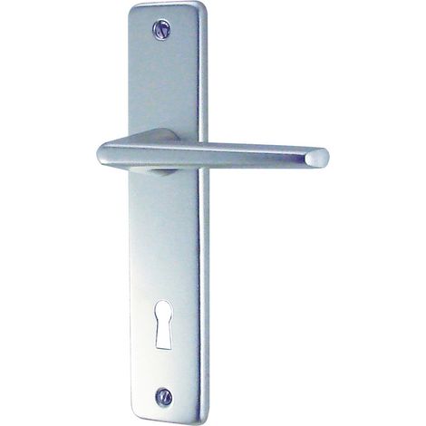 Conjunto de asa sobre placa de aluminio plateada de 165 mm, llave L – Gets (dt 2000)