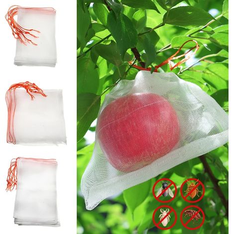 50pcs 55X35cm blanc fruits de protection des plantes avec sac en filet Garden Greenhouse housse de protection des plantes fruits accessoires de jardin (1/5)
