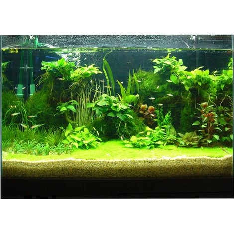 Un Côté Aquarium Fond Affiche Décoration Papier Peint Autocollant 61x30 Cm (1/5)