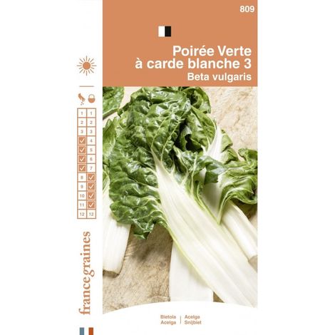 France Graines - Poirée Verte Carde Blanche