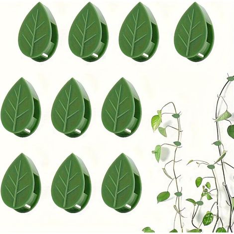 10Pcs Attache Plante Grimpante, Support pour Plantes Grimpantes, Auto Adhésifs Attache Mur Plante pour Plantes d'intérieur, Lierre, Philodendron (1/5)