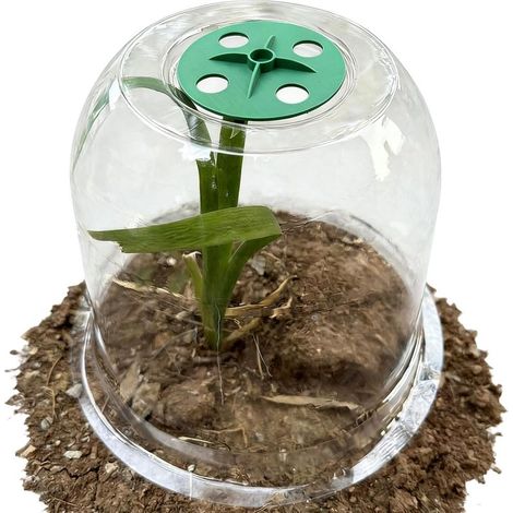 Set mit 10 transparenten Schutzglocken für den Gartenbau, wasser- und frostbeständig, 30,5 cm Durchmesser, aus strapazierfähigem Material, ein Pflanzenschutzmittel.