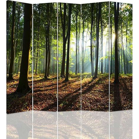 Paravent rayons solaires traversant une forêt paisible - 180 x 180 cm - 1 face déco, 1 face noir (1/5)