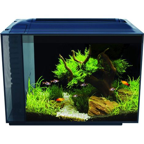 Fluval Spec XV - Acquario da 60 l, colore nero, 1 pezzo (confezione da 1)