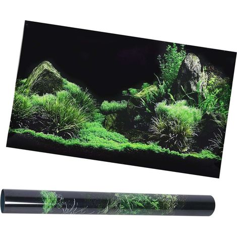 Papier Peint Aquarium Fond Marin en PVC pour Décoration de Vivarium 40cm - (1/5)