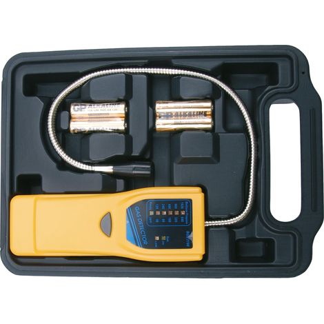 BGS detector de gas - 2198