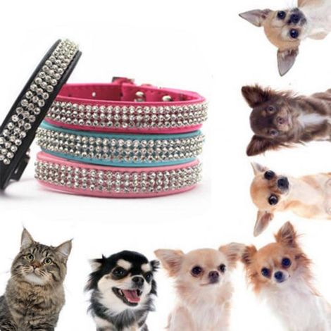 Trade Shop - CULAR MIT STRASS FÜR KANNI ANIMAL COUNTRS PET BRILLANTINI COLOURS - (1/4)