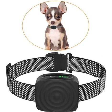 SABIR Collier pour chiens de petite/moyenne taille, 5-15 lbs, sans choc, rechargeable, collier anti-aboiement avec sensibilité et résistance réglables, collier anti-aboiement (1/3)