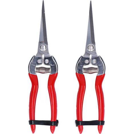 Ciseaux A Fruits - Lame En Acier Inoxydable - Pour Cueillir Fruits Et Tailler Branches - 20 Cm - 121 G (1/5)