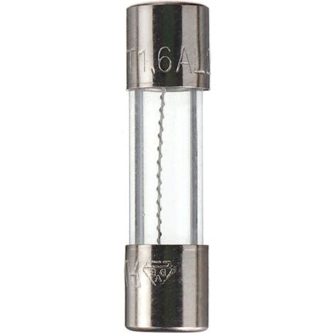20 pièces T1.6AL250V 5x20 mm 1.6A 250V Fusibles à action lente 1.6 Ampère 250 Volt 0,2 x 0,78 pouce Fusible temporisé pour tube de verre (1/4)
