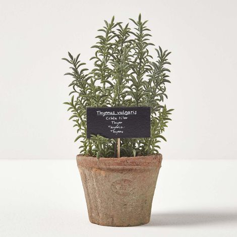 HOMESCAPES Artificial Thyme Plant in Decorative Pot (1/4)