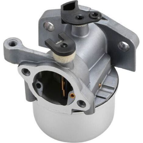Carburateur carburateur pour Briggs & Stratton 799871 790845 799866 796707 794304 (1/5)