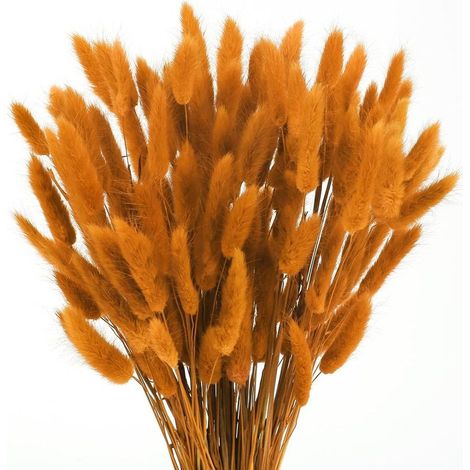 120pcs Herbe de la Pampa Orange Naturelle - Fleurs Séchées Bouquet pour Décoration Maison, Anniversaire et Mariage (1/5)