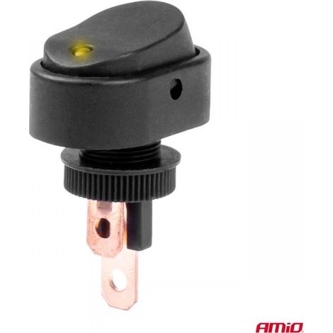 Interrupteur ellipse avec rétroéclairage 12V 24V AMIO-03088 (1/5)