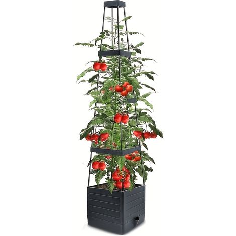 Lot de 1 jardinière surélevée avec treillage — Support pour culture de tomates, jardinière d'extérieur (1/3)