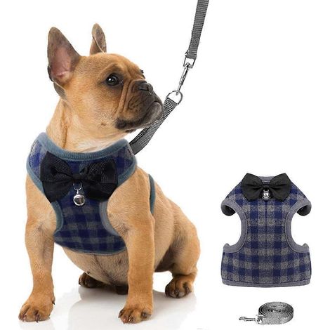 Sangle de poitrine pour chien avec nœud papillon - Bleu - Taille S (1/5)