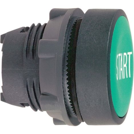 Interruttore Schneider Electric zb5-aa333 ritorno automatico resistente chimico (1/2)