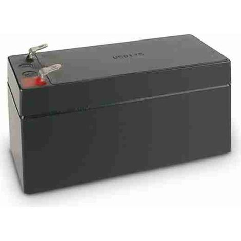 Batteria e-Vision AGM 1,2 Ah / 12 V