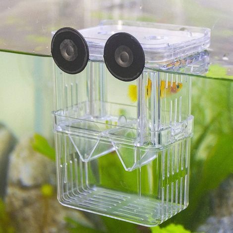 Floating Breeding Box, 3 Pasteur Pipettes, Transparent Plastic, Aquarium Tank, Juvenile Fish (1/5)
