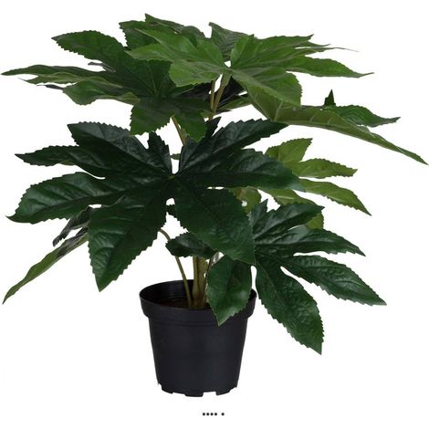 Aralia du Japon artificiel en pot, H 25 cm, D 25 cm (1/3)