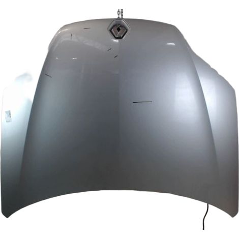 Capot RENAULT Laguna III 2007- [PRODUIT D'OCCASION]♻️651000021r (1/3)